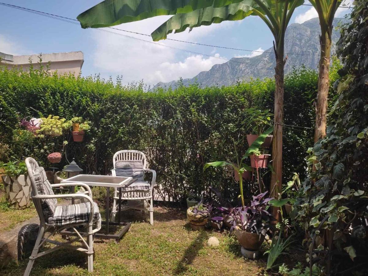 Apartman Art Kotor Exterior photo